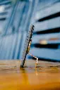 imgi_18_UAG_Lifestyle_041224_Irvine_Ring_Stand-111.webp
