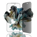 AMAZINGTHING IPHONE 17 PRO MAX 6.9 3D FULLY COVERED VISION DUST FILTER TITAN PRIVACY GLASS  (Color: PRIVACY