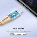 Ravpower Nylon Braided Type-C to Lightning Cable 0.3M - Gold