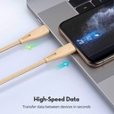 Ravpower Nylon Braided Type-C to Lightning Cable 0.3M - Gold