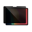 AT IPAD PRO 13" 2024 2.5D F.COV.RADIX PRIVACY GLASS